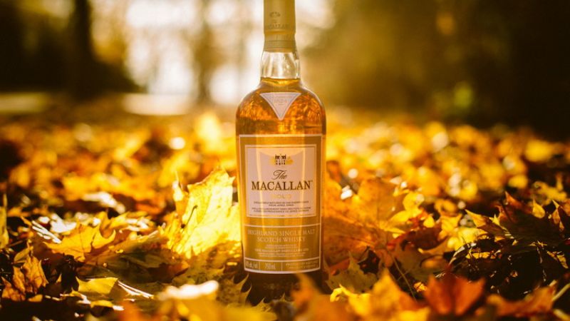 Macallan Gold Double Cask mang hương vị ngọt quyến rũ