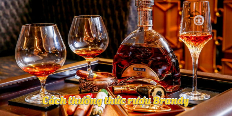 Thưởng thức rượu theo tiêu chuẩn mang đến trải nghiệm tuyệt hảo