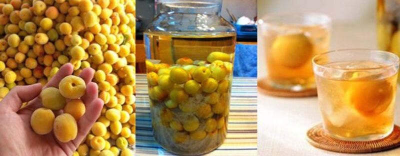 Ngâm rượu mơ đúng cách giúp mang đến hương vị thơm ngon