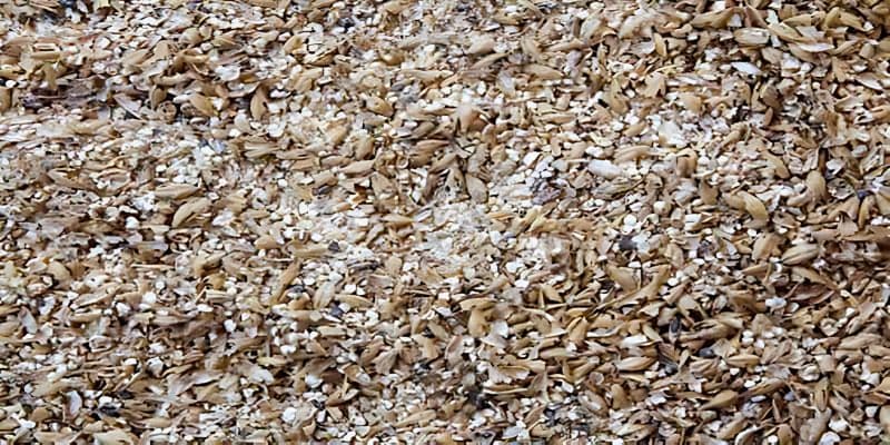 Mạch nha sẽ được tiến hành nghiền nát để quá trình chắt lọc dễ dàng hơn