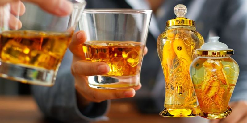 Nên thưởng thức rượu ngâm sâm với lượng nhỏ mỗi ngày