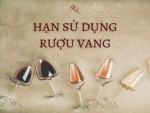 Hạn sử dụng của một vài loại rượu vang