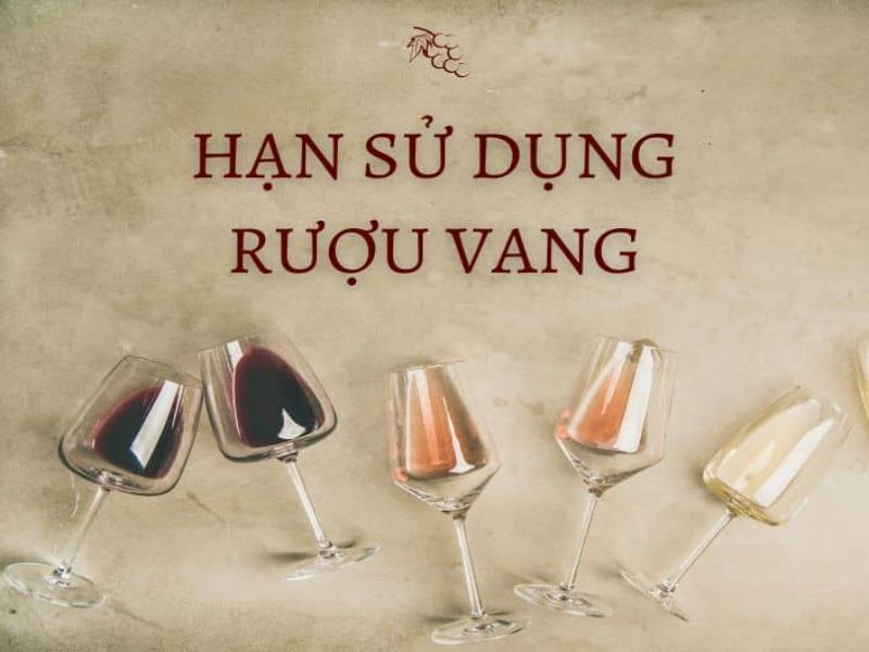 Hạn sử dụng của một vài loại rượu vang