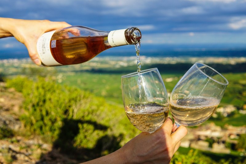 Rượu vang Chile là một hành trình khám phá văn hóa và hương vị Nam Mỹ