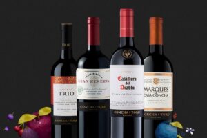 Rượu vang Chile nào ngon không thể bỏ qua Concha y Toro