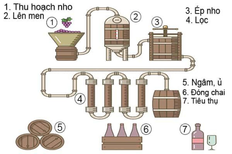Quy trình sản xuất rượu vang bao gồm nhiều giai đoạn tỉ mỉ