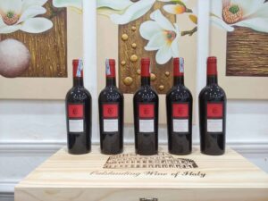Rượu vang Chile ngon giá dưới 1 triệu được yêu thích tại Việt Nam