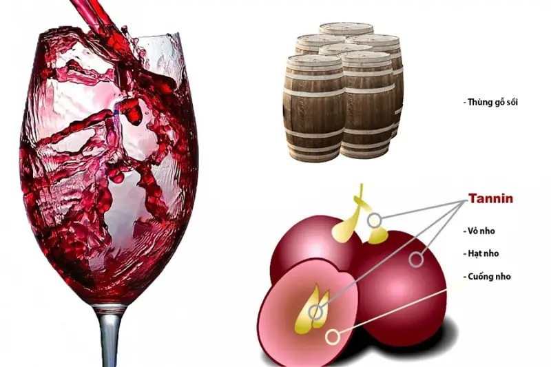 Tannin là "linh hồn" của rượu vang