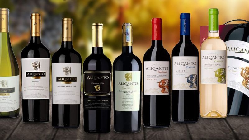 Rượu AK tự hào mang đến cho khách hàng bộ sưu tập rượu vang Chile đa dạng và chất lượng cao