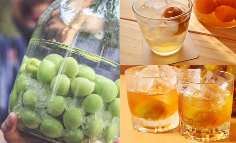 Tỷ lệ ngâm rượu mơ chuẩn để đạt hương vị cân bằng