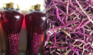 Ba kích có tác dụng gì? Giá trị dược liệu trong rượu ngâm