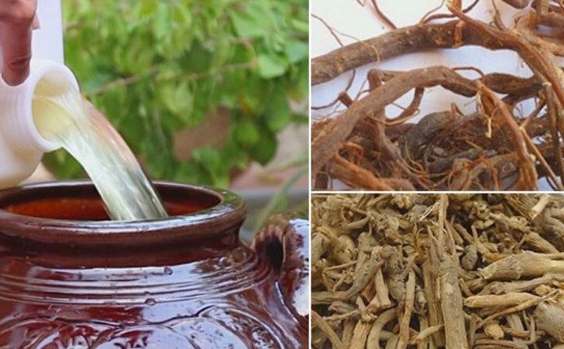 Nếu muốn ngâm rượu địa liền, cần lưu ý gì?