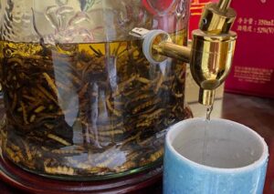 Đông trùng hạ thảo ngâm rượu, giá trị dược tính và cách dùng